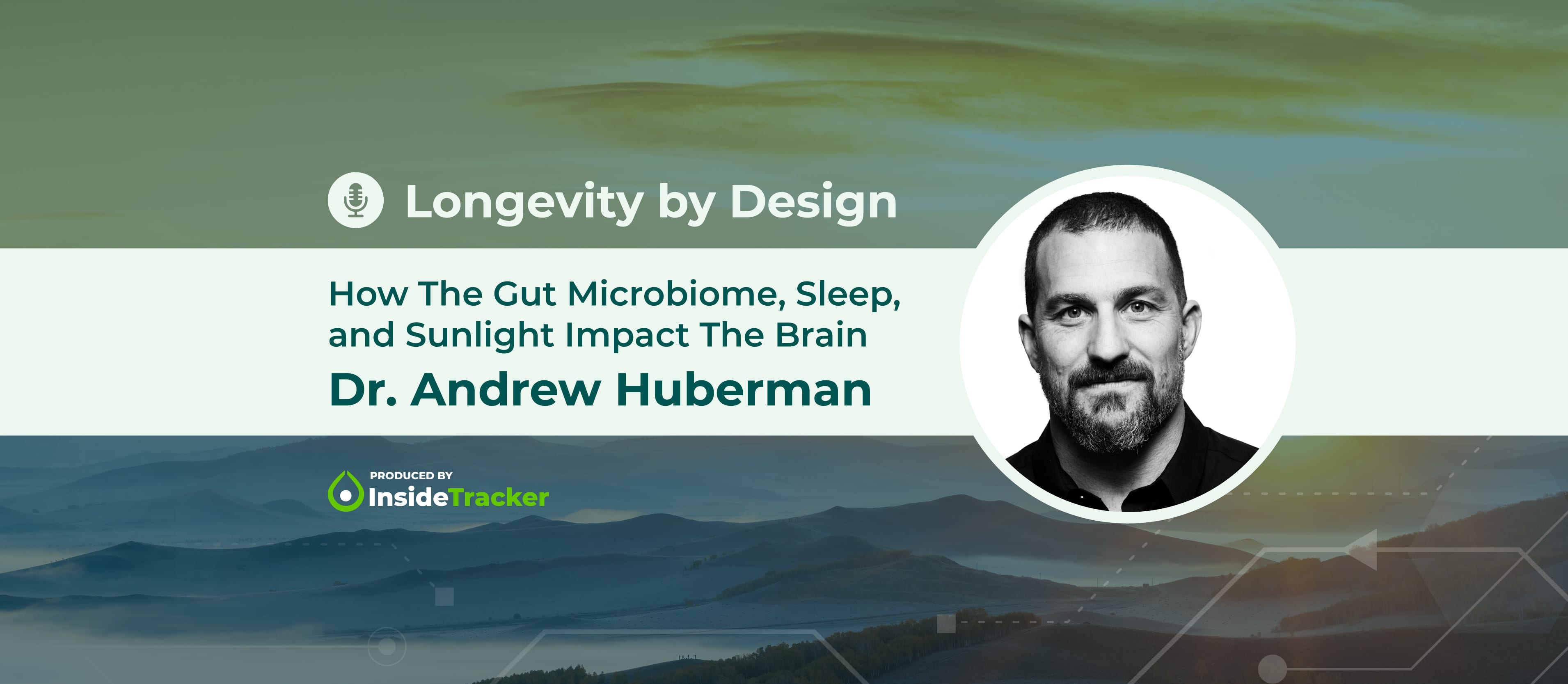 Dr. Andrew Huberman—How The Gut Microbiome, Sleep, And Sunlight Impact ...